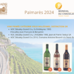 Les Dézaley Grand Cru s’illustrent au Concours du Mondial du Chasselas 2024