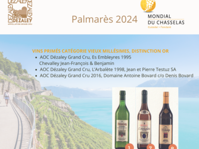 Les Dézaley Grand Cru s’illustrent au Concours du Mondial du Chasselas 2024